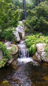 hồ cá koi thác suối hòn non bộ