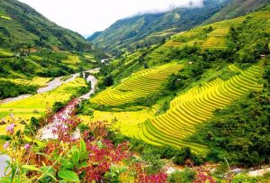 cảnh quan việt nam