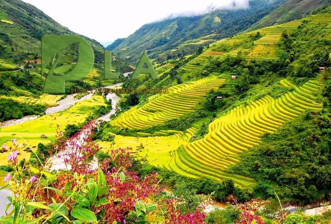 cảnh quan việt nam
